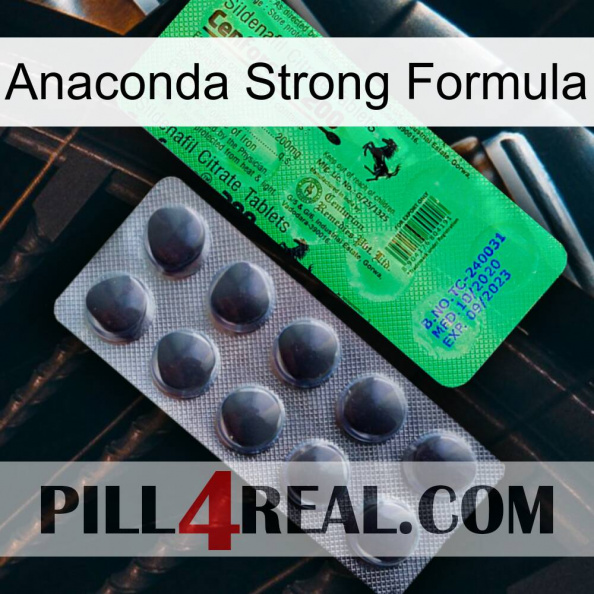 Anaconda Strong Formula new04.jpg